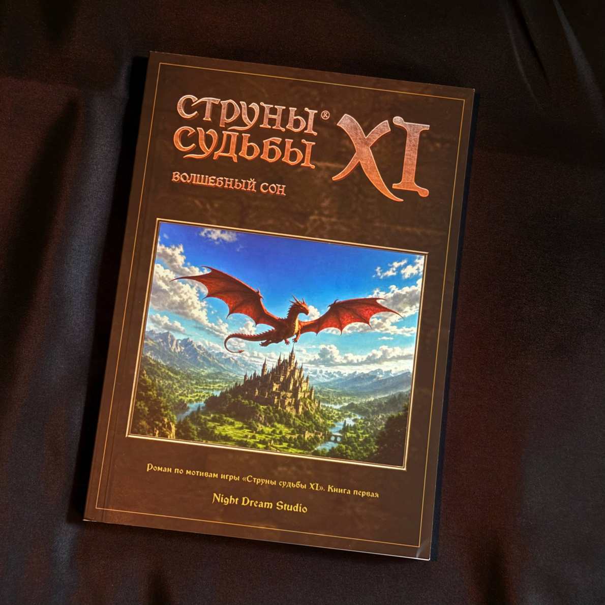 Art novel